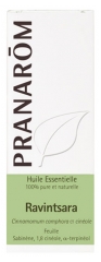 Pranarôm Essential Oil Ravintsara (Cinnamomum camphora CT cineole) 10 ml Pranarôm Essential Oil Ravintsara (Cinnamomum camphora CT cineole) 10 ml