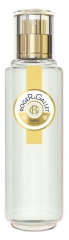 Roger & Gallet Fresh Fragrant Water Green Tea 30ml Roger & Gallet Fresh Fragrant Water Green Tea 30ml
