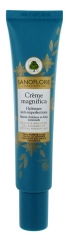 Sanoflore Crème Magnifica Hydratant Anti-Imperfections 40 ml Sanoflore Crème Magnifica Hydratant Anti-Imperfections 40 ml