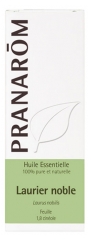 Pranarôm Essential Oil Noble Laurel (Laurus nobilis) 5 ml Pranarôm Essential Oil Noble Laurel (Laurus nobilis) 5 ml