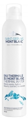 Saint-Gervais Mont Blanc Eau Thermale du Mont Blanc 250 ml Saint-Gervais Mont Blanc Eau Thermale du Mont Blanc 250 ml