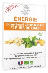 Elixirs & Co Complément Alimentaire aux Fleurs de Bach Energie Bio 20 Ampoules Elixirs & Co Complément Alimentaire aux Fleurs de Bach Energie Bio 20 Ampoules