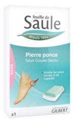 Gilbert Feuille de Saule Pierre Ponce Gilbert Feuille de Saule Pierre Ponce