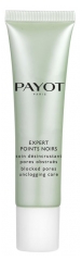 Payot Pâte Grise Expert Points Noirs Anti-Dark Spots Care Blocked Pores Unclogging Care 30ml Payot Pâte Grise Expert Points Noirs Anti-Dark Spots Care Blocked Pores Unclogging Care 30ml