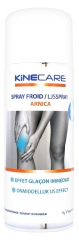 Visiomed Kinecare Spray Froid Arnica 400 ml Visiomed Kinecare Spray Froid Arnica 400 ml