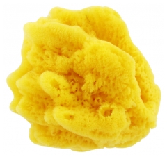 Bébisol Natural Sponge Bébisol Natural Sponge