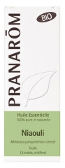 Pranarôm Huile Essentielle Niaouli (Melaleuca quinquenervia CT cinéole) Bio 10 ml Pranarôm Huile Essentielle Niaouli (Melaleuca quinquenervia CT cinéole) Bio 10 ml