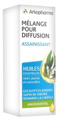 Arkopharma Arko Essentiel Mélange pour Diffusion Assainissant 15 ml Arkopharma Arko Essentiel Mélange pour Diffusion Assainissant 15 ml
