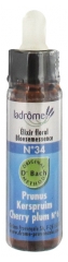 Ladrôme Fleurs De Bach Elixir Floral N°34 : Prunus 10 ml Ladrôme Fleurs De Bach Elixir Floral N°34 : Prunus 10 ml