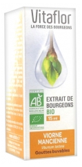 Vitaflor Organic Buds Extract Viburnum Lantana 15ml Vitaflor Organic Buds Extract Viburnum Lantana 15ml