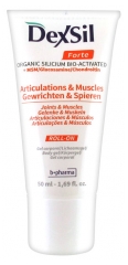 Dexsil Forte Articulations + MSM Glucosamine Chondroïtine Gel Corporel 50 ml Dexsil Forte Articulations + MSM Glucosamine Chondroïtine Gel Corporel 50 ml