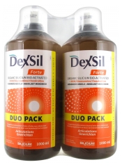 Dexsil Forte Articulations + MSM Glucosamine Chondroïtine Solution Buvable Lot de 2 x 1 L Dexsil Forte Articulations + MSM Glucosamine Chondroïtine Solution Buvable Lot de 2 x 1 L
