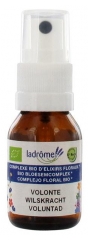 Ladrôme Complexe d'Elixirs Floraux : Spray Volonté 20 ml Ladrôme Complexe d'Elixirs Floraux : Spray Volonté 20 ml