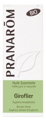 Pranarôm Huile Essentielle Giroflier (Eugenia caryophyllus) Bio 10 ml Pranarôm Huile Essentielle Giroflier (Eugenia caryophyllus) Bio 10 ml