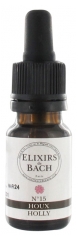 Elixirs & Co Elixirs De Bach N°15 Holly 10ml Elixirs & Co Elixirs De Bach N°15 Holly 10ml