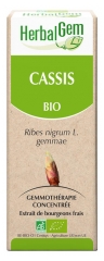 HerbalGem Bio Cassis 30 ml HerbalGem Bio Cassis 30 ml