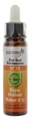 Ladrôme Fleurs De Bach Elixir Floral N°28 : Noyer 10 ml Ladrôme Fleurs De Bach Elixir Floral N°28 : Noyer 10 ml
