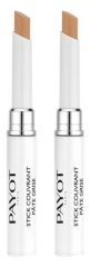 Payot Pâte Grise Stick Couvrant Sanitising Corrective Care 2 x 1,6g Payot Pâte Grise Stick Couvrant Sanitising Corrective Care 2 x 1,6g