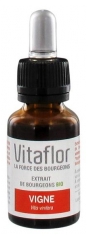 Vitaflor Organic Buds Extract Vine 15ml Vitaflor Organic Buds Extract Vine 15ml