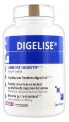 Ineldea Digelise 90 Gélules Ineldea Digelise 90 Gélules