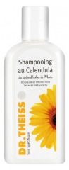 Dr. Theiss Shampoo con Calendula 200 ml
