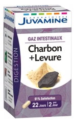 Juvamine Phyto Charbon + Levure 45 Gélules Juvamine Phyto Charbon + Levure 45 Gélules