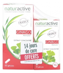 Naturactive Ginkgo 60 Cápsulas + 30 Cápsulas Disponibles Naturactive Ginkgo 60 Cápsulas + 30 Cápsulas Disponibles