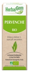HerbalGem Bio Pervenche 30 ml HerbalGem Bio Pervenche 30 ml