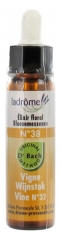 Ladrôme Flower of Bach Floral Elixir No32 : Vine 10ml Ladrôme Flower of Bach Floral Elixir No32 : Vine 10ml