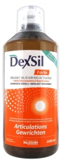 Dexsil Forte Articulations + MSM Glucosamine Chondroïtine Solution Buvable 1 L Dexsil Forte Articulations + MSM Glucosamine Chondroïtine Solution Buvable 1 L