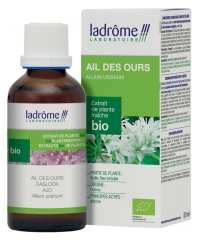 Ladrôme Extracto de Planta Fresca Orgánica Oso Ajo 50 ml Ladrôme Extracto de Planta Fresca Orgánica Oso Ajo 50 ml