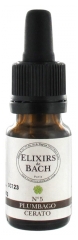 Elixirs & Co Elixirs De Bach N°5 Cerato 10ml Elixirs & Co Elixirs De Bach N°5 Cerato 10ml