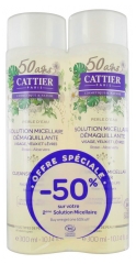 Cattier Perle d'Eau Solution Micellaire Démaquillante Lot de 2 x 300 ml Cattier Perle d'Eau Solution Micellaire Démaquillante Lot de 2 x 300 ml