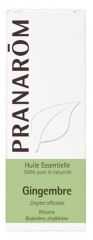 Pranarôm Essential Oil Ginger (Zingiber officinale) 5 ml