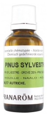 Pranarôm Essential Oil Scots Pine (Pinus sylvestris) 30 ml Pranarôm Essential Oil Scots Pine (Pinus sylvestris) 30 ml