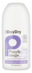 Biosme Déodorant Soin Probiotique Purple Sauge Roll-On 50 ml Biosme Déodorant Soin Probiotique Purple Sauge Roll-On 50 ml