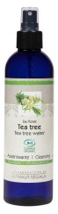 Laboratoire du Haut-Ségala Eau Florale de Tea Tree Bio 250 ml Laboratoire du Haut-Ségala Eau Florale de Tea Tree Bio 250 ml