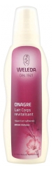 Weleda Nachtkerze Revitalisierende Pflegelotion 200 ml Weleda Nachtkerze Revitalisierende Pflegelotion 200 ml