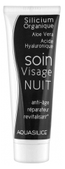 Aquasilice Cuidado Facial Nocturno Antienvejecimiento 50 ml Aquasilice Cuidado Facial Nocturno Antienvejecimiento 50 ml