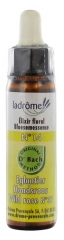 Ladrôme Flower of Bach Floral Elixir No37 : Wildrose 10ml Ladrôme Flower of Bach Floral Elixir No37 : Wildrose 10ml