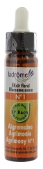 Ladrôme Fleurs De Bach Elixir Floral N°1 : Aigremoine 10 ml Ladrôme Fleurs De Bach Elixir Floral N°1 : Aigremoine 10 ml