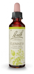 Fleurs de Bach Original Clematis 20 ml