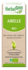 HerbalGem Bio Preiselbeere 30 ml HerbalGem Bio Preiselbeere 30 ml