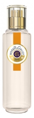 Roger & Gallet Eau Parfumée Bienfaisante Gingembre 30 ml Roger & Gallet Eau Parfumée Bienfaisante Gingembre 30 ml