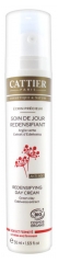 Cattier Écrin Précieux Soin de Jour Redensifiant 50 ml Cattier Écrin Précieux Soin de Jour Redensifiant 50 ml
