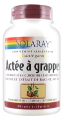 Solaray Black Cohosh 120 Vegetable Gel-Caps Solaray Black Cohosh 120 Vegetable Gel-Caps