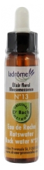 Ladrôme Fleurs De Bach Elixir Floral N°13 : Eau de Roche 10 ml Ladrôme Fleurs De Bach Elixir Floral N°13 : Eau de Roche 10 ml