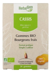 HerbalGem Gommes Bio Bourgeons Frais Cassis 24 Gommes HerbalGem Gommes Bio Bourgeons Frais Cassis 24 Gommes