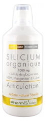 Pharm & Nature Silicium Organique 1000 mg Articulation 1000 ml Pharm & Nature Silicium Organique 1000 mg Articulation 1000 ml