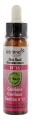 Ladrôme Bachblütenelexier Blütenessenz Nr. 16 : Enzian 10 ml Ladrôme Bachblütenelexier Blütenessenz Nr. 16 : Enzian 10 ml